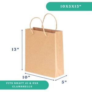 10x5x13" Twisted Handle Paper Bag