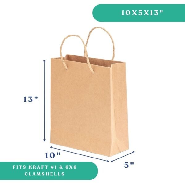 10x5x13" Twisted Handle Paper Bag