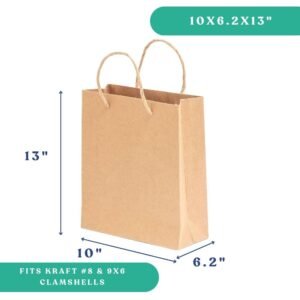 10x6.2x13" Twisted Handle Paper Bag