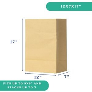 12x7x17" No Handle Paper Bag (DD60)